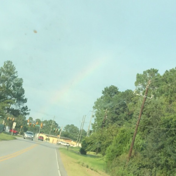 Meet your Posher, Shelby - Picture 2 of 3